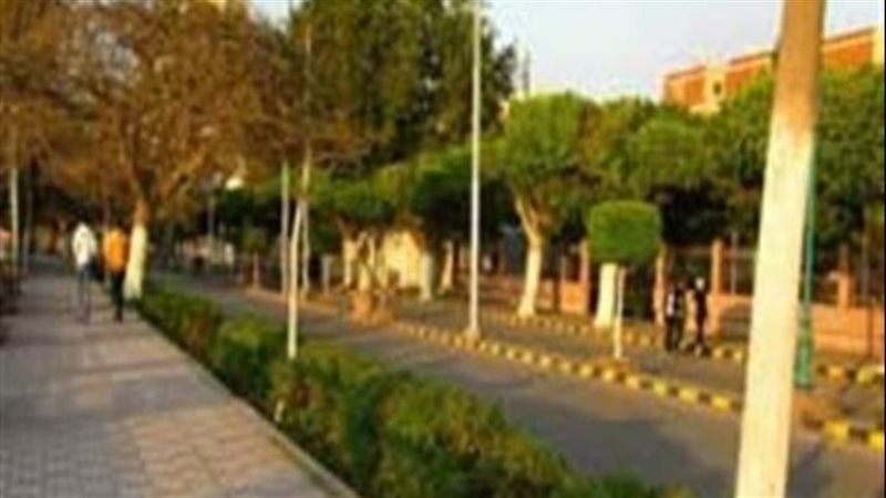 محافظة القليوبية