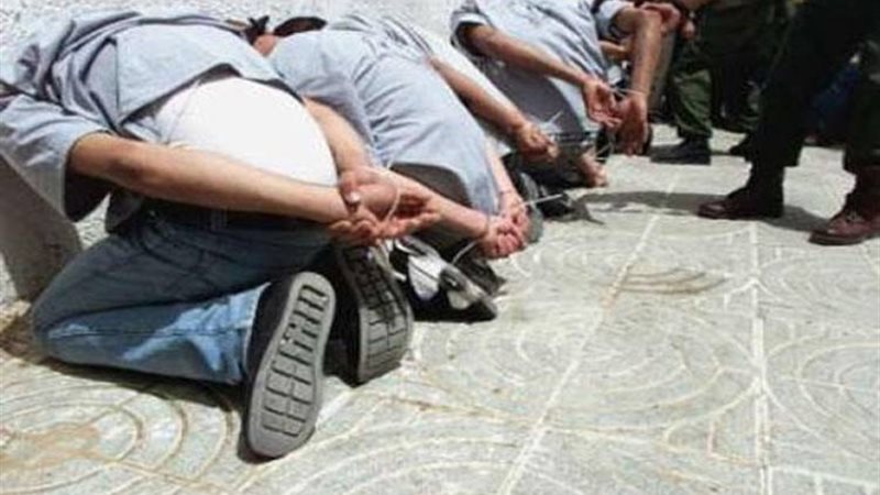 ضبط تشكيل عصابى،فيتو