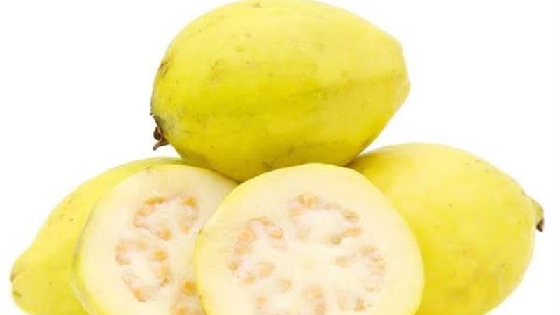 تفسير حلم الجوافة