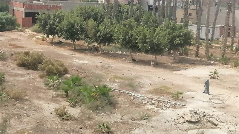 حديقة حيوان المنصورة