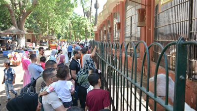 إقبال متوسط على حديقة الحيوان في ثالث أيام عيد الأضحى (صور) 