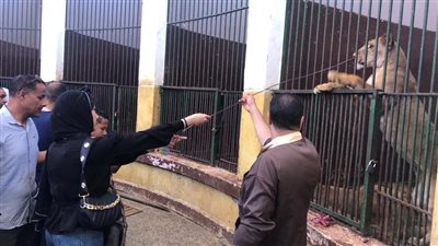 إقبال كبير على حديقة الحيوانات فى الإسكندرية بثالث أيام عيد الأضحى المبارك 