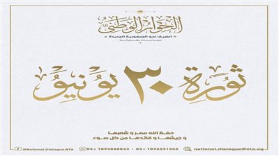 الحوار الوطني عن 30 يونيو: أنقذت بلدنا من براثن التطرف وتغيير الهوية