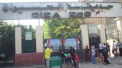 وزير الزراعة يكشف موعد افتتاح حديقة الحيوان بالجيزة بعد التطوير الشامل