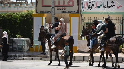 اللفة بـ 15 جنيها، ركوب الخيل أبرز مشاهد الاحتفال بعيد الاضحى في القناطر الخيرية (صور) 