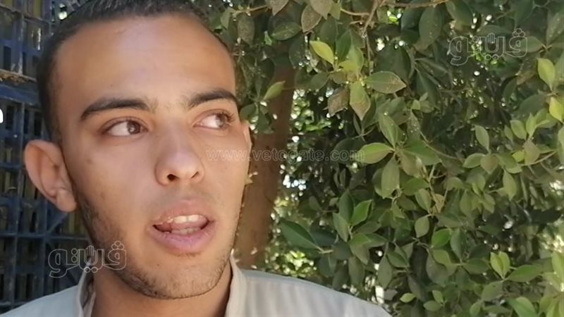 ابن مدير مدرسة صفط