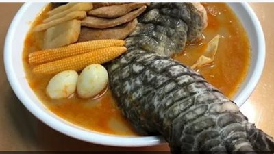 مطعم تايواني يبتكر طبقا جديدا بأرجل التماسيح