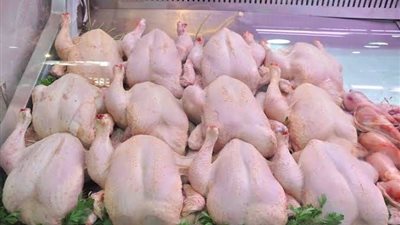 انخفاض أسعار الدواجن في المنيا اليوم الاثنين 10-7-2023