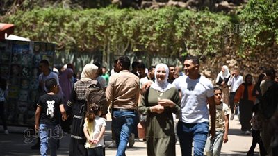 توزيع 15 ألف شنطة بلاستيكية مجانا على رواد الحدائق بالجيزة