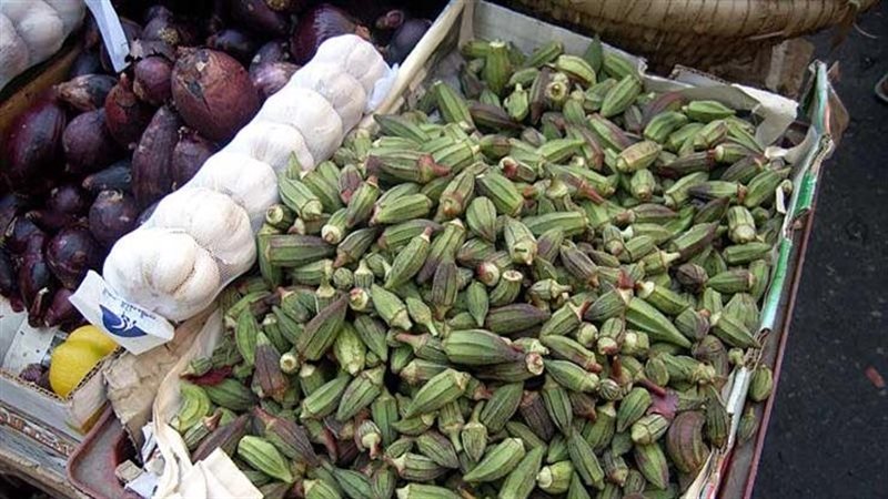 أسعار البامية