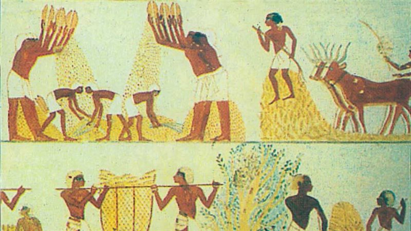 الزراعة فى مصر القديمة