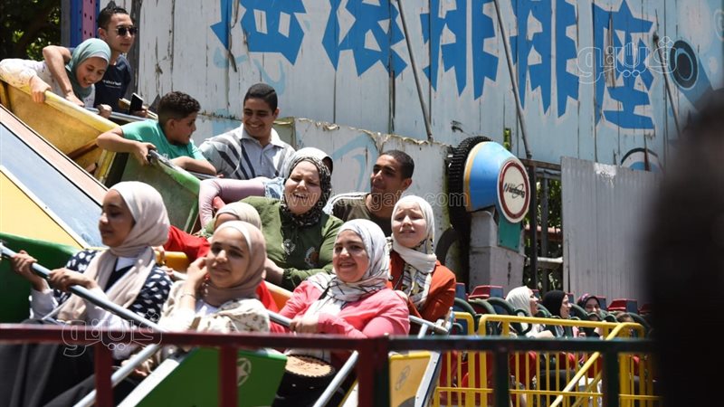 الملاهي بحديقة الحيوان،فيتو