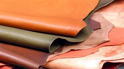 شعبة المدابغ: 40% انخفاضًا في كميات الجلود الخام خلال عيد الأضحى