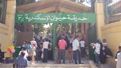 مدير حديقة الحيوان بالإسكندرية: ٥٣٤٠٠ زائر خلال أيام عيد الأضحى