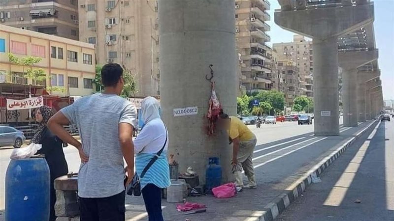جزارة المونوريل،فيتو