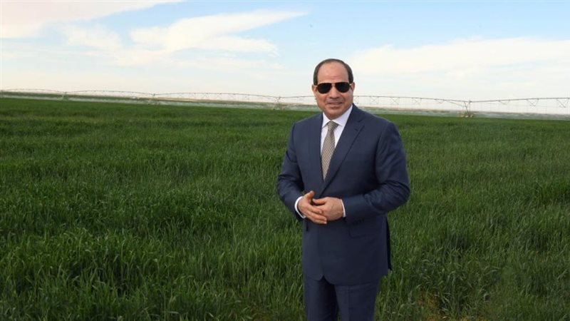 الرئيس عبد الفتاح