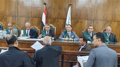 الإدارية العليا تودع المستشار عادل بريك لبلوغه السن القانونية