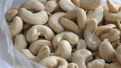 فوائد الكاجو، قدميه لصغارك في الطعام والحلوى لقيمته الغذائية العالية 