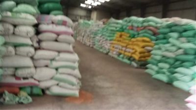 الجيزة: حملات التموين ضبطت 1500 مخالفة خلال أيام عيد الأضحى 