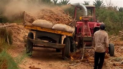 حملة مكبرة للتخلص من مخلفات النخيل بالفرم بواحة الداخلة في الوادي الجديد 