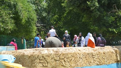 إقبال متوسط على حديقة الحيوان قبل انتهاء إجازة العيد (صور)