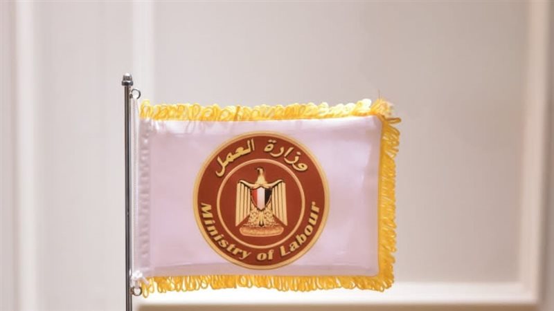 وزارة العمل،فيتو