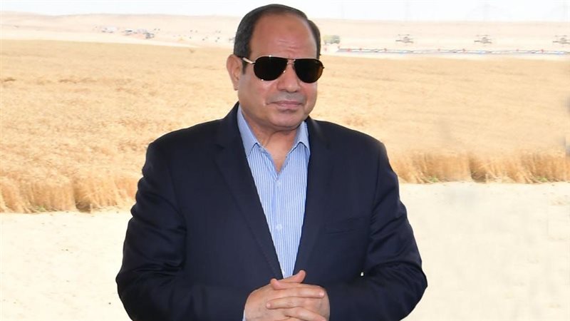 الرئيس عبد الفتاح