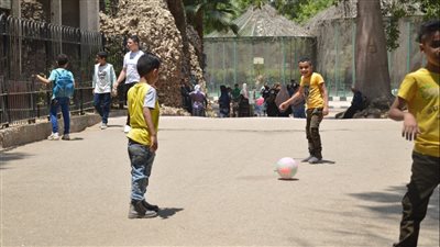 اللعب بكرة القدم والسلة يتصدران المشهد في حديقة الحيوان (صور)