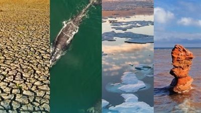 كوبرنيكوس لتغير المناخ تحذر من ارتفاع درجات حرارة الأرض والبحر لمستويات قياسية