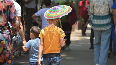 الأسر تحتمي من أشعة الشمس تحت مظلات وأشجار حديقة الحيوان (صور)