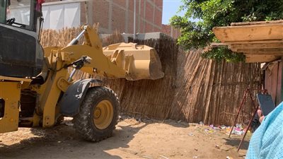 أحمد راشد: ذبح 6782 أضحية بمجازر الجيزة وتحرير 236 محضرا للذبح بالشوارع 