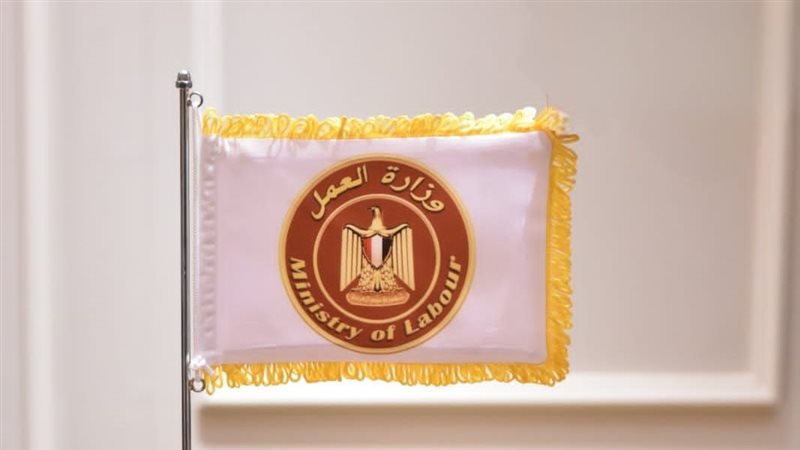 وزارة العمل،فيتو