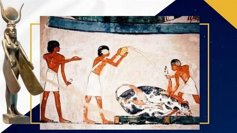 أبرز طقوس ذبح الأضاحي