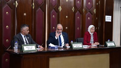 تضامن النواب توافق على مشروع قانون دعم صندوق قادرون باختلاف