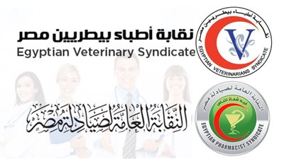 حادث مدينتي، تحركات جديدة من البيطريين والصيادلة للمطالبة بحق بسمة ودعم أسرتها، ودعوات لسرعة محاكمة الجاني