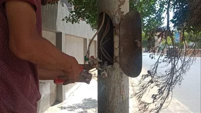 حي شرق الإسكندرية يرفع كفأة أعمدة الإنارة بمحيط لجان الثانوية العامة 