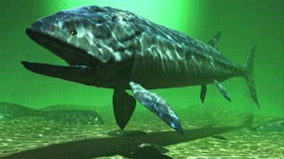 اكتشاف حفريات زواحف مائية من العصر الجوراسي