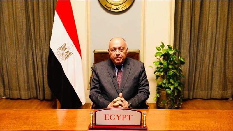 سامح شكرى وزير الخارجية،