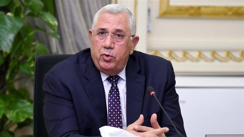  السيد القصير وزارة