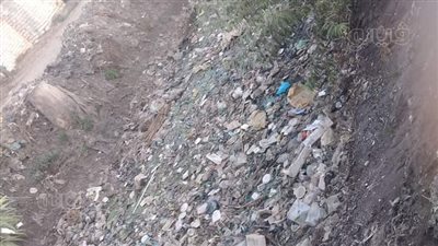 أراضي قرية الأبشيط بالغربية مهددة بالبوار.. نقص مياه الري بالترع والفلاحون يلجئون إلى المصارف (صور)