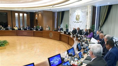 الوزراء: لا صحة لحظر استيراد عدد من السلع لمدة 3 أشهر