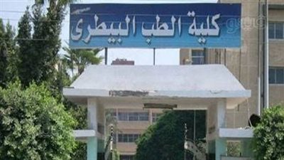  تنسيق الجامعات 2025، البرامج الدراسية الجديدة بطب بيطري القاهرة والوظائف المؤهلة لها