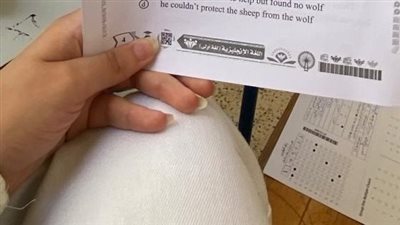 كشفت عن هويتها، طالبة بالثانوية العامة تنشر صورة امتحان اللغة الإنجليزية من داخل اللجنة 