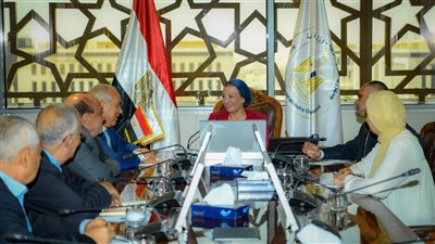 وزيرة البيئة تناقش آليات دعم تنفيذ مشروع انتاج الأخشاب الـMDF في مصر