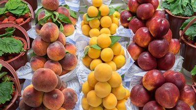 أسعار الفاكهة اليوم، 24 جنيهًا أعلى سعر لكيلو التفاح بلدي في سوق العبور