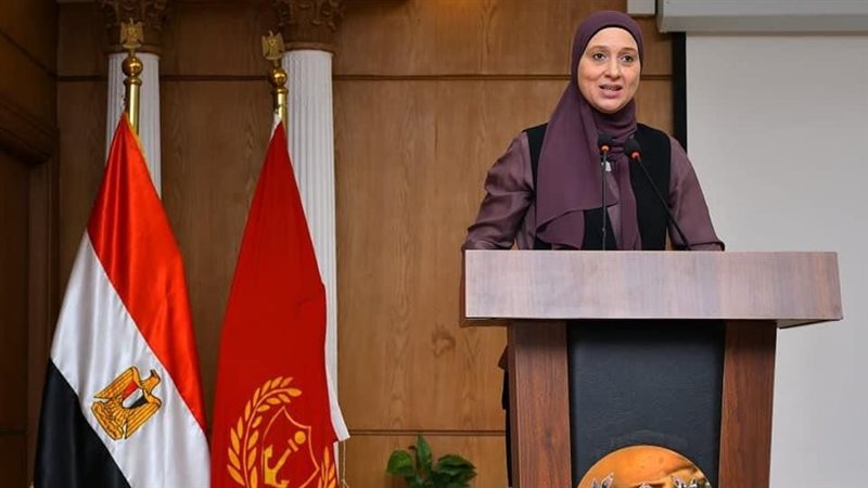 ورشة العمل، فيتو
