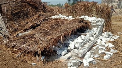 حملات مكثفة لإزالة التعديات والبناء المخالف في دشنا بقنا 