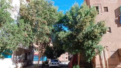 الوحدات المحلية بالوادي الجديد تواصل حملات النظافة وإزالة الإشغالات