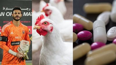 أخبار مصر: قفزة في سعر دواء شهير للغلابة، إصابات بسقوط لعبة ملاهي بجمصة، قرار يتسبب في جنون أسعار الفراخ، بند يطيح بأحلام الشناوي