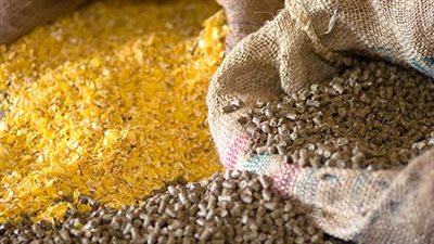 أخبار الاقتصاد اليوم، جهينة ترفع أسعار منتجاتها من الألبان والعصائر، وارتفاع جديد في سعر الذرة والصويا في الأسواق